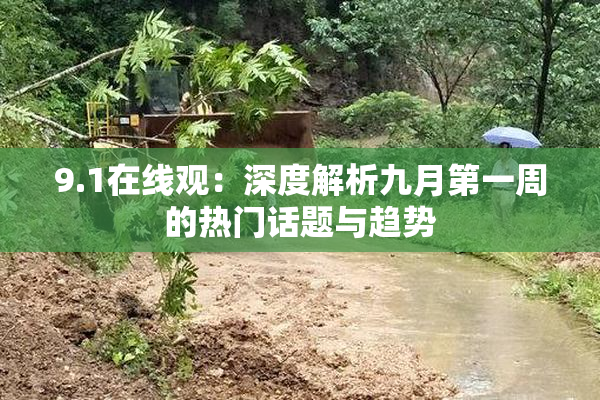 9.1在线观：深度解析九月第一周的热门话题与趋势