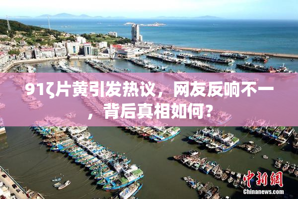 91ζ片黄引发热议，网友反响不一，背后真相如何？