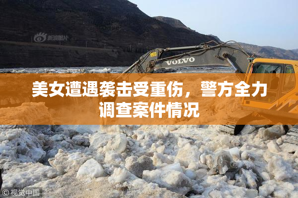 美女遭遇袭击受重伤，警方全力调查案件情况