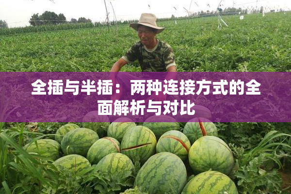 全插与半插：两种连接方式的全面解析与对比