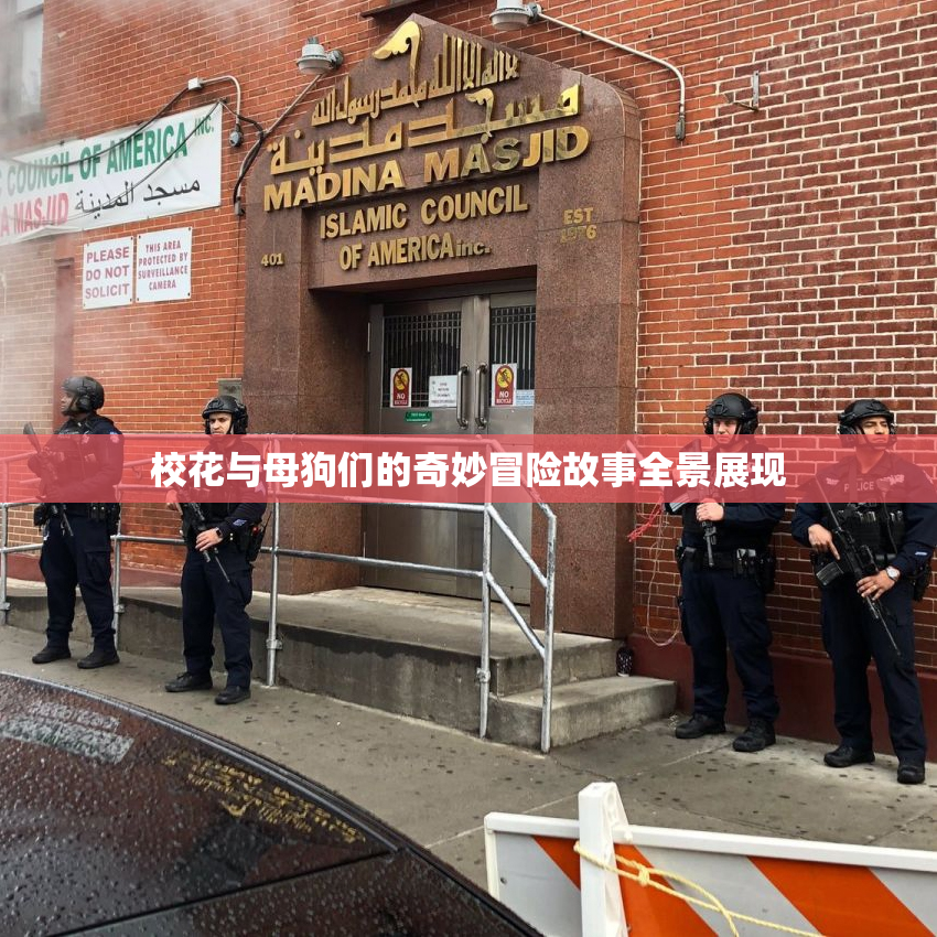 校花与母狗们的奇妙冒险故事全景展现