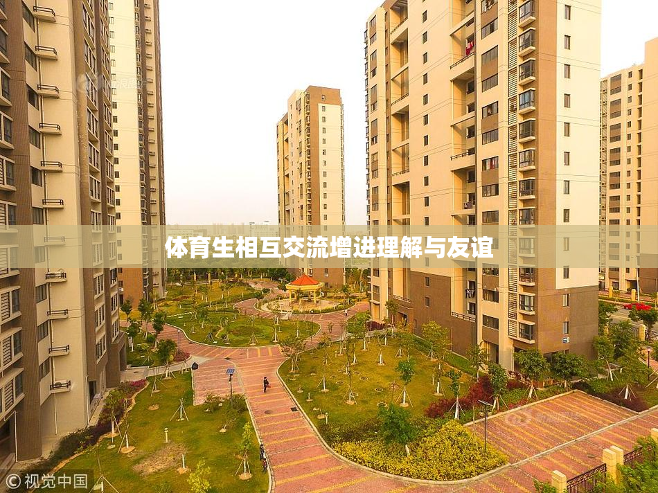 体育生相互交流增进理解与友谊