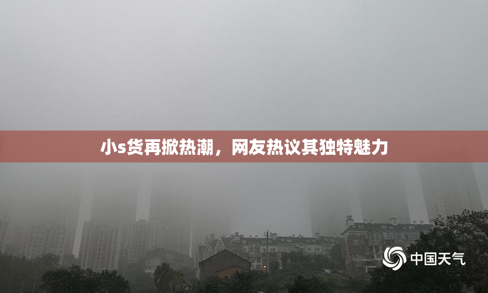小s货再掀热潮，网友热议其独特魅力