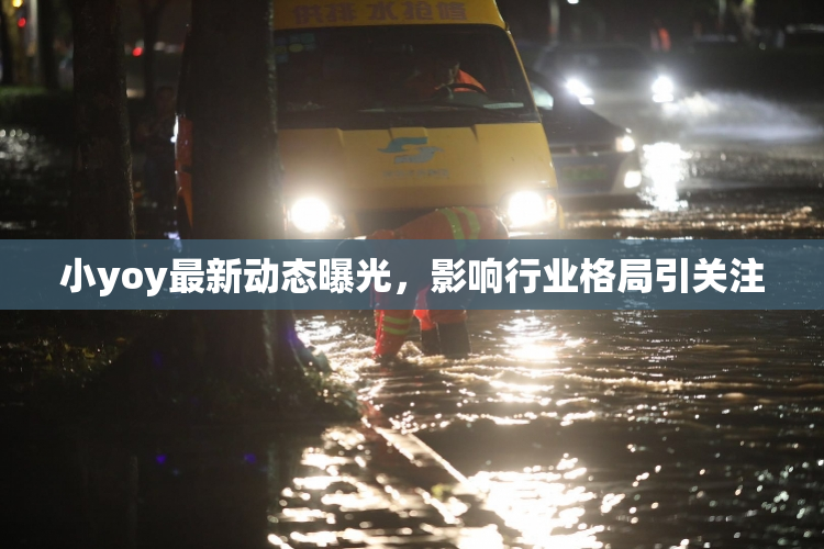小yoy最新动态曝光，影响行业格局引关注