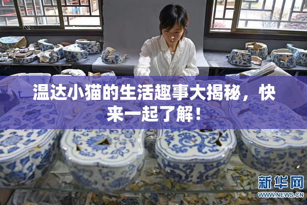 温达小猫的生活趣事大揭秘，快来一起了解！