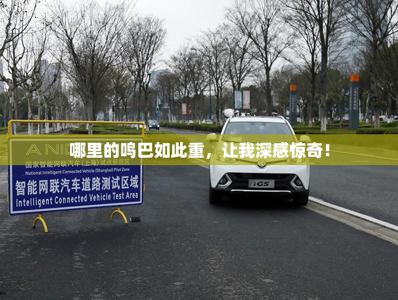 哪里的鸣巴如此重，让我深感惊奇！
