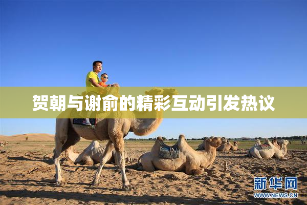 贺朝与谢俞的精彩互动引发热议