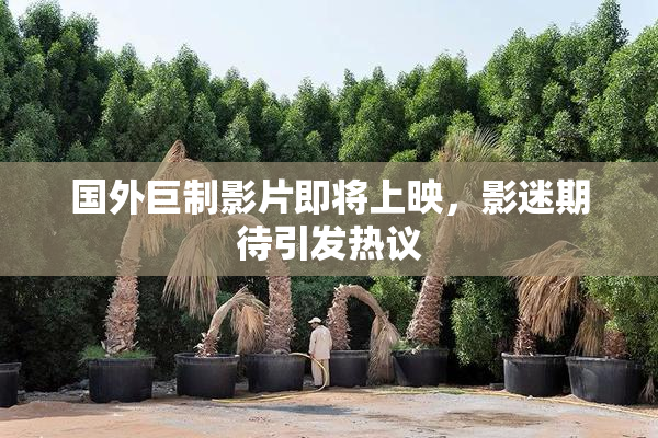 国外巨制影片即将上映，影迷期待引发热议