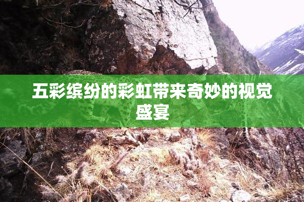 五彩缤纷的彩虹带来奇妙的视觉盛宴