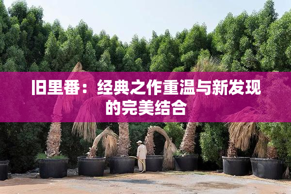 旧里番：经典之作重温与新发现的完美结合