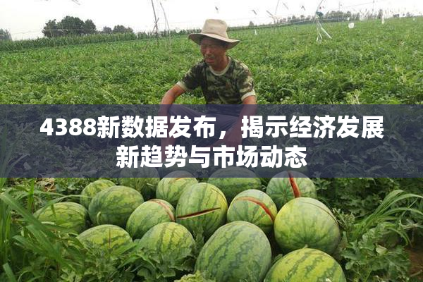 4388新数据发布，揭示经济发展新趋势与市场动态