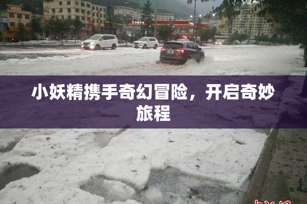 小妖精携手奇幻冒险，开启奇妙旅程