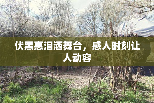 伏黑惠泪洒舞台，感人时刻让人动容