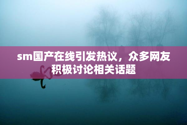 sm国产在线引发热议，众多网友积极讨论相关话题