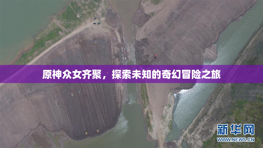 原神众女齐聚，探索未知的奇幻冒险之旅