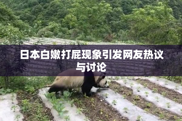 日本白嫩打屁现象引发网友热议与讨论