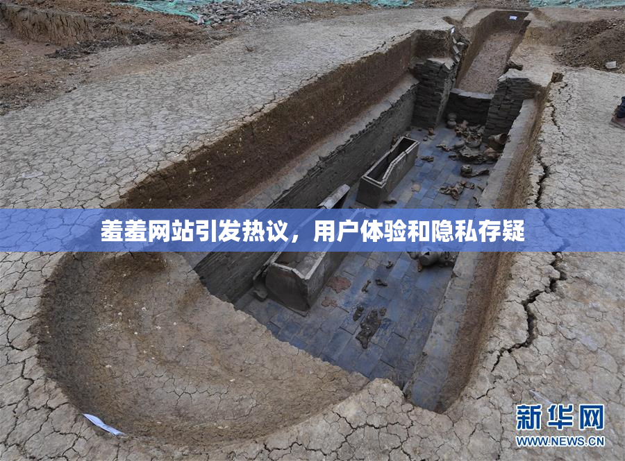 羞羞网站引发热议，用户体验和隐私存疑