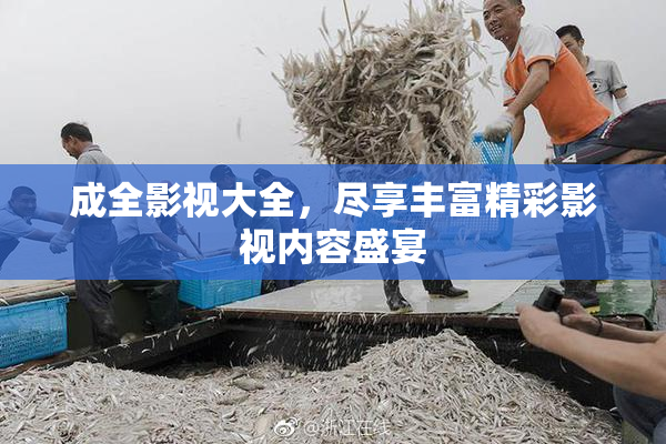 成全影视大全，尽享丰富精彩影视内容盛宴