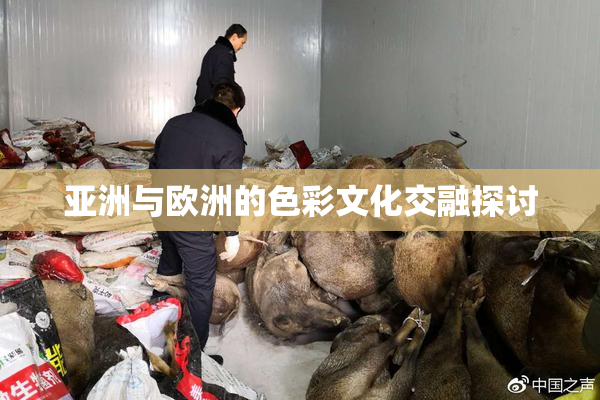亚洲与欧洲的色彩文化交融探讨