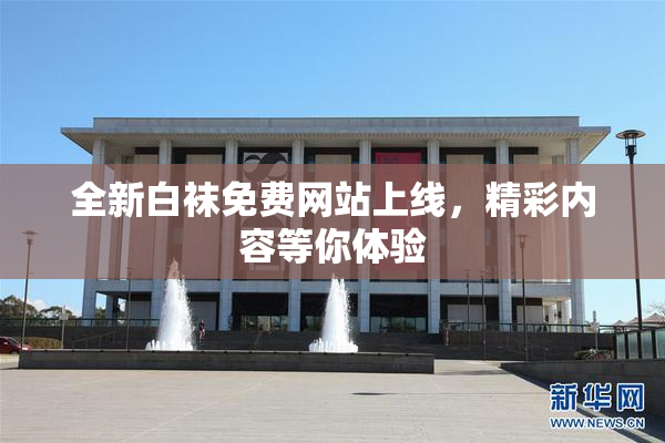 全新白袜免费网站上线，精彩内容等你体验