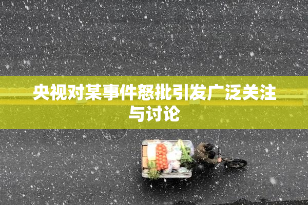 央视对某事件怒批引发广泛关注与讨论
