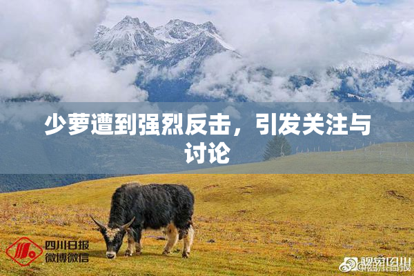 少萝遭到强烈反击，引发关注与讨论