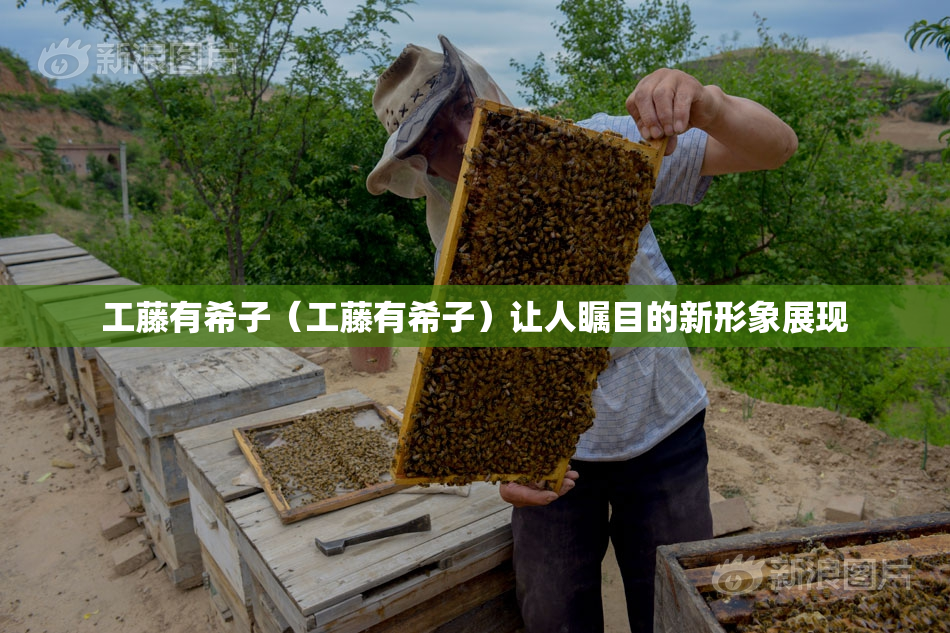 工藤有希子（工藤有希子）让人瞩目的新形象展现