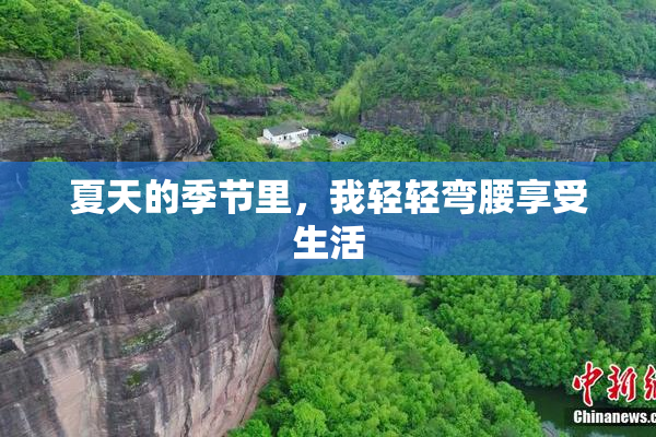 夏天的季节里，我轻轻弯腰享受生活