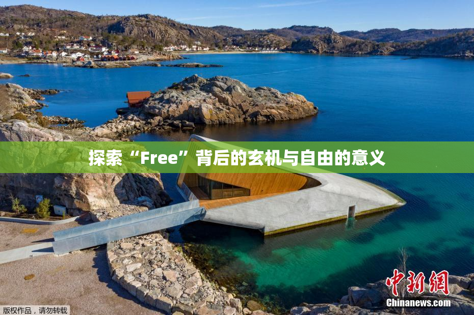 探索“Free”背后的玄机与自由的意义