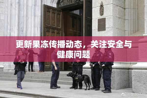 更新果冻传播动态，关注安全与健康问题