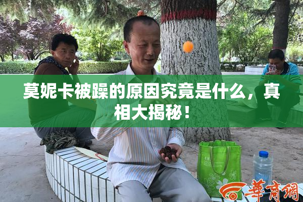 莫妮卡被躁的原因究竟是什么，真相大揭秘！