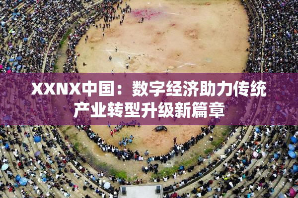 XXNX中国：数字经济助力传统产业转型升级新篇章