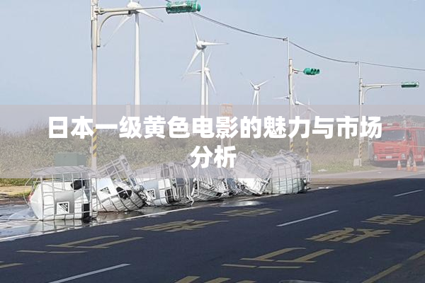 日本一级黄色电影的魅力与市场分析