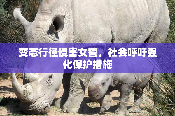 变态行径侵害女警，社会呼吁强化保护措施