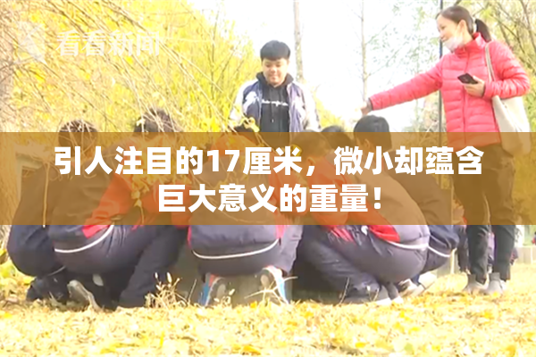 引人注目的17厘米，微小却蕴含巨大意义的重量！