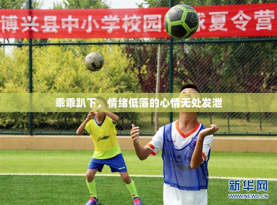 乖乖趴下，情绪低落的心情无处发泄