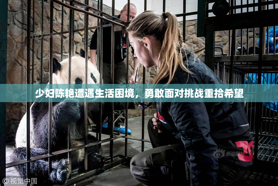 少妇陈艳遭遇生活困境，勇敢面对挑战重拾希望