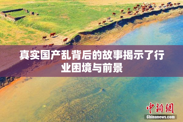 真实国产乱背后的故事揭示了行业困境与前景