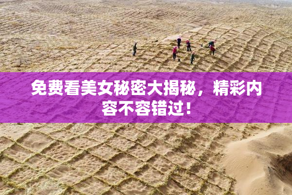 免费看美女秘密大揭秘，精彩内容不容错过！