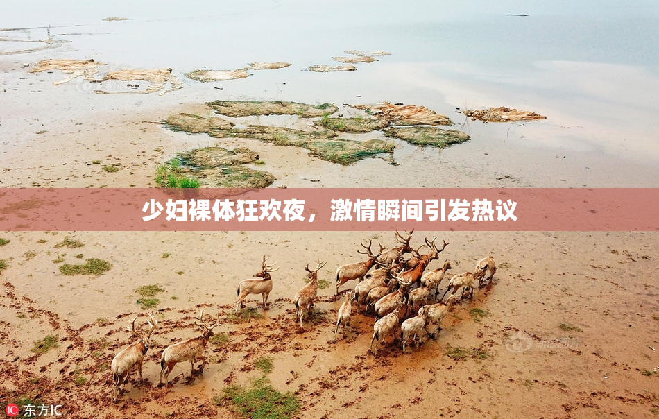 少妇裸体狂欢夜，激情瞬间引发热议