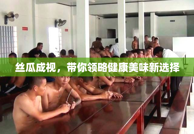 丝瓜成视，带你领略健康美味新选择