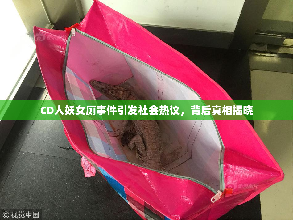 CD人妖女厕事件引发社会热议，背后真相揭晓