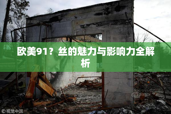 欧美91？丝的魅力与影响力全解析