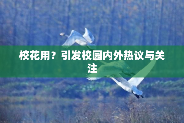 校花用？引发校园内外热议与关注