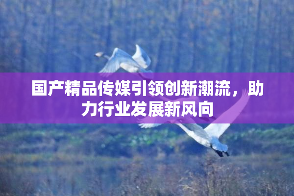 国产精品传媒引领创新潮流，助力行业发展新风向