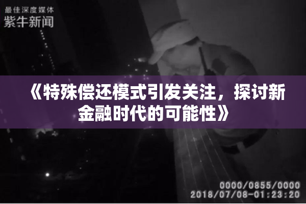 《特殊偿还模式引发关注，探讨新金融时代的可能性》
