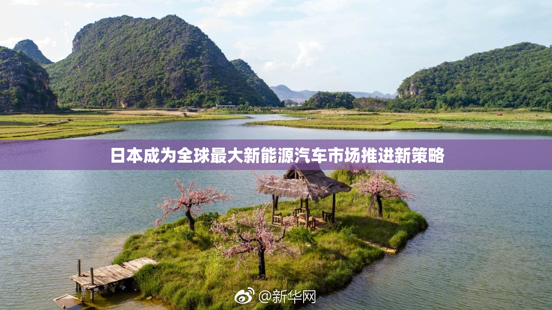 日本成为全球最大新能源汽车市场推进新策略