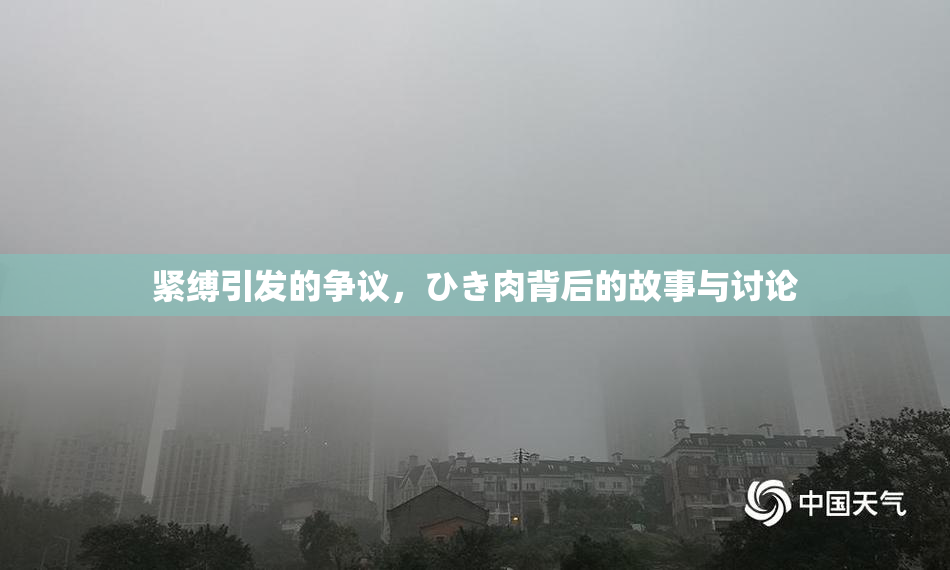 紧缚引发的争议，ひき肉背后的故事与讨论