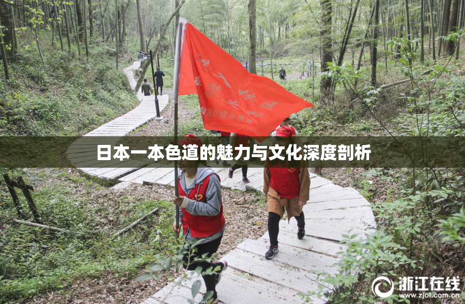 日本一本色道的魅力与文化深度剖析