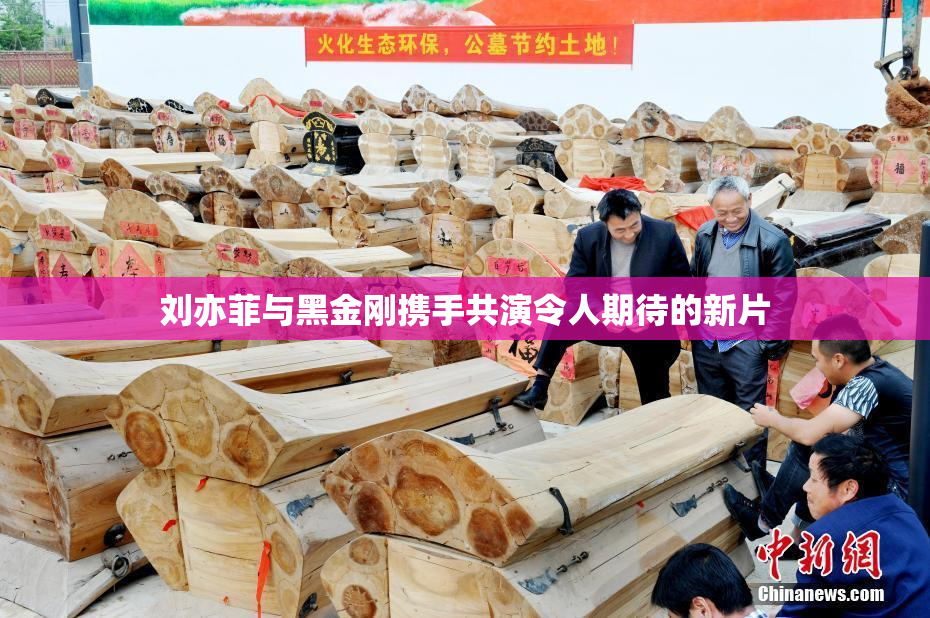 刘亦菲与黑金刚携手共演令人期待的新片